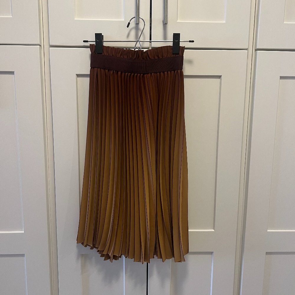 Aritzia babaton pleated skirt with gradiated colors